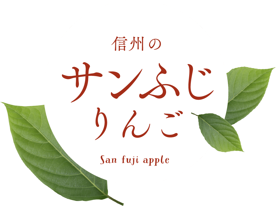信州のサンふじりんご San fuji apple